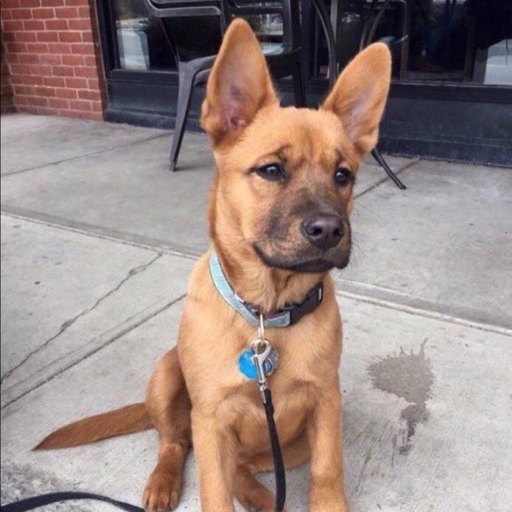 Meet your Posher, Juan